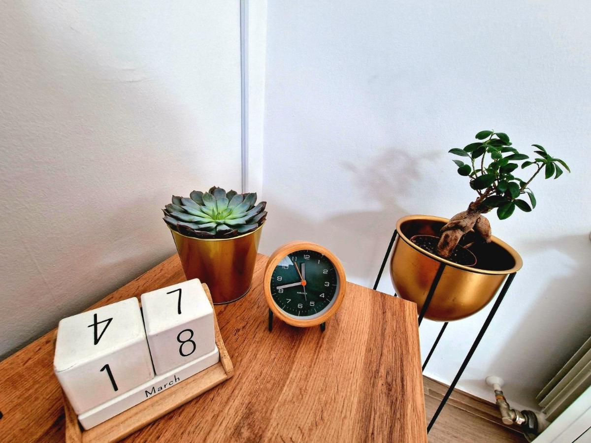 Studio Apartman Varadero Bjelovar Eksteriør bilde